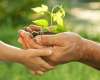 stewardship stewardship